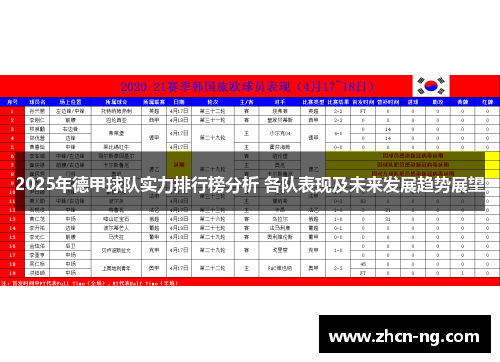 2025年德甲球队实力排行榜分析 各队表现及未来发展趋势展望