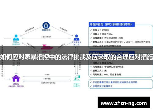 如何应对家暴指控中的法律挑战及应采取的合理应对措施