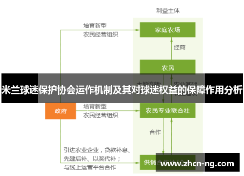 米兰球迷保护协会运作机制及其对球迷权益的保障作用分析
